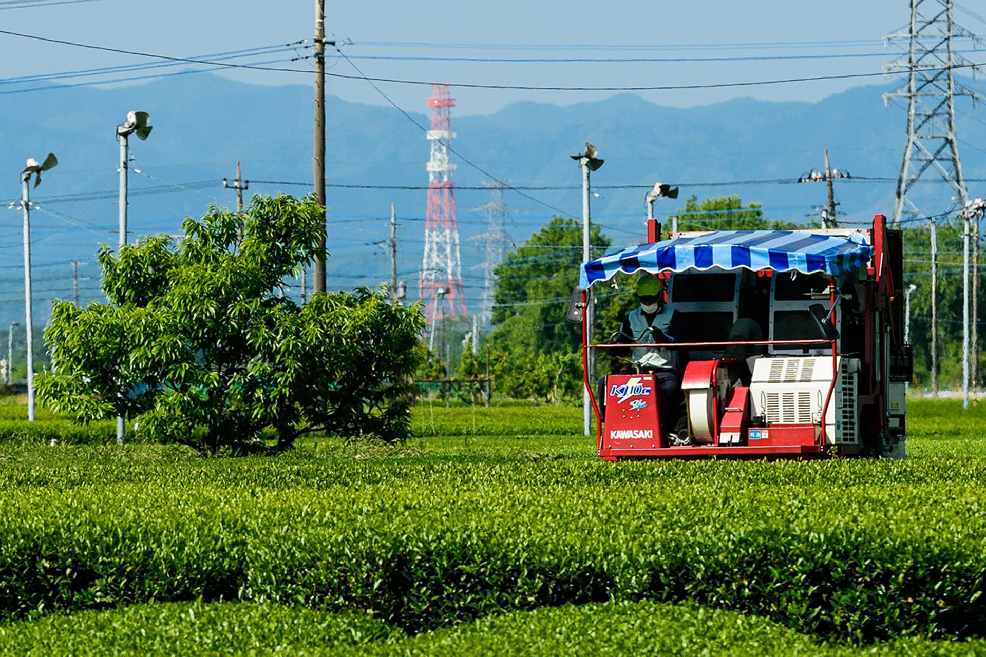 Field Area and Production Volume